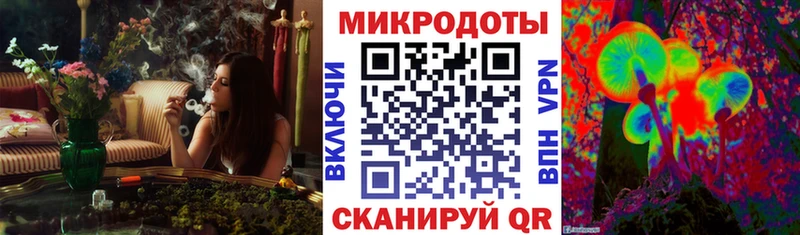 hydra вход  Дыгулыбгей  Псилоцибиновые грибы мицелий 